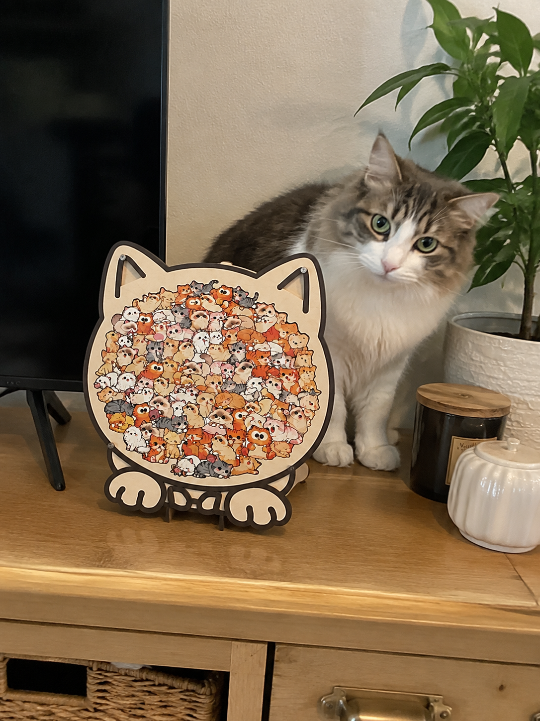 Pet-Themed Jigsaw Puzzle – A Unique Gift for Pet Lovers